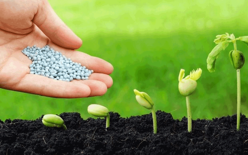 xuất nhập mặt hàng phân bón